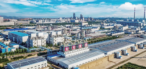 推進能源化工基地建設和生態(tài)環(huán)境保護協(xié)調(diào)發(fā)展