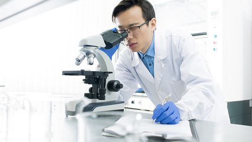 玩具檢測認(rèn)證 構(gòu)筑安全防線，驅(qū)動(dòng)行業(yè)高質(zhì)量發(fā)展